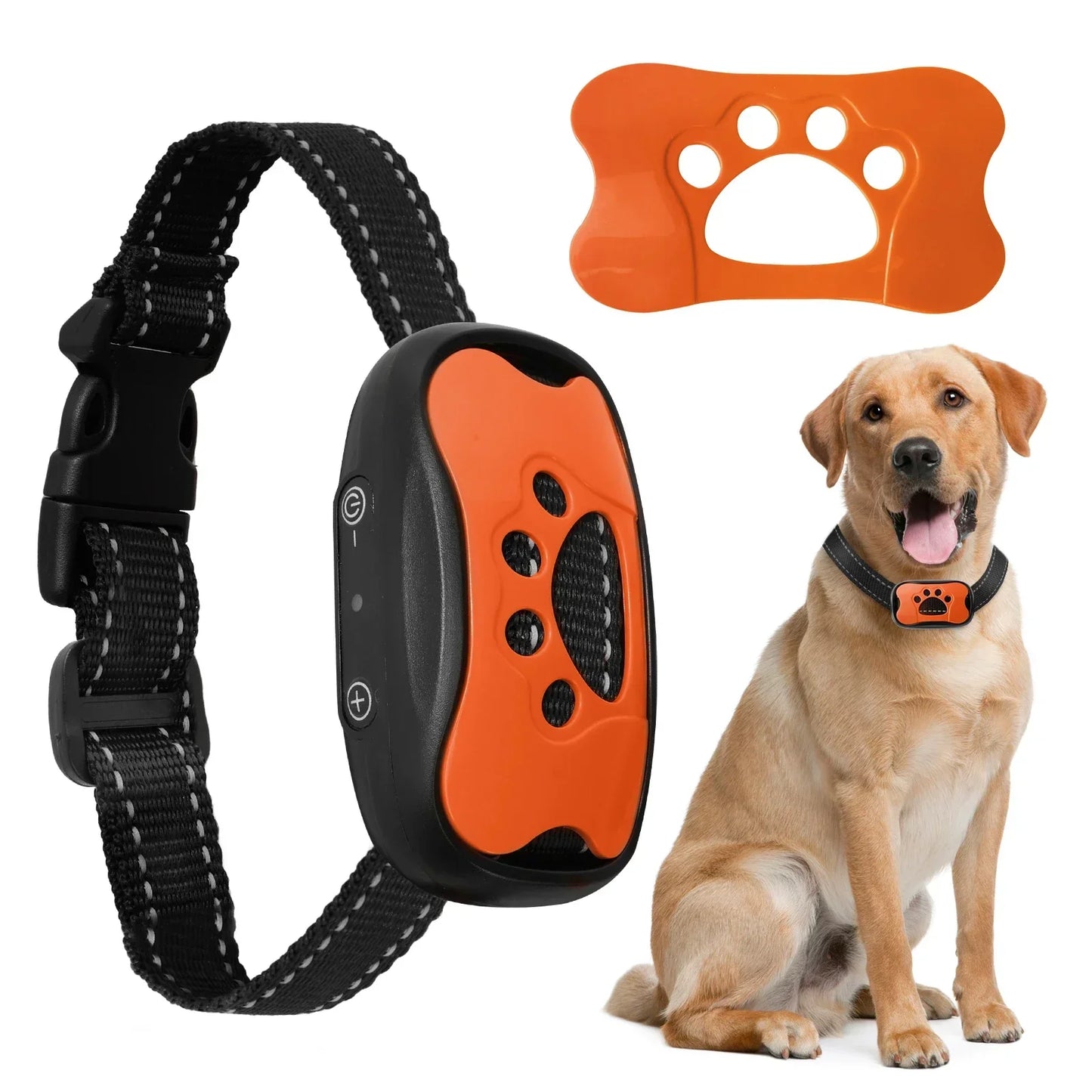 HushTail Anti Bark collar Close up Orange Colour