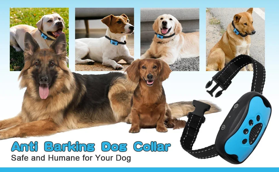 Dog wearing HushTail bark control device showing comfortable fit and design