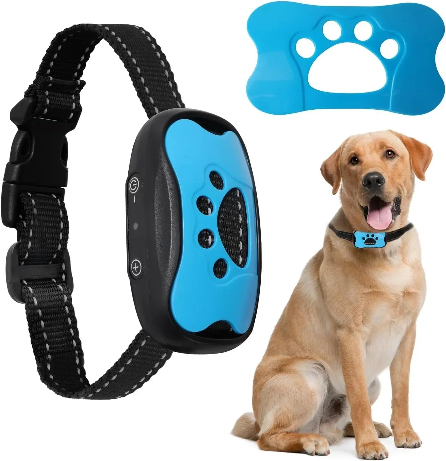 HushTail HushTail– Train Gently. Love Loudly collar Close up and dog wearing the blue collar