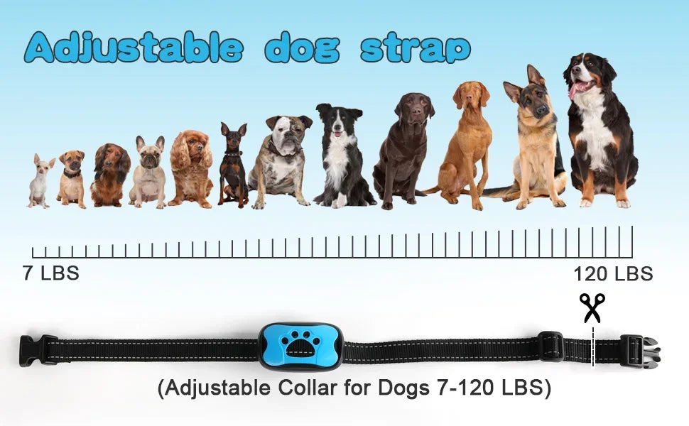 HushTail anti-bark collar product features and gentle training technology