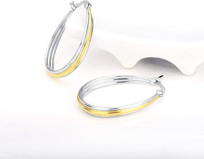 Pair of silver and gold hoop earrings on a white background