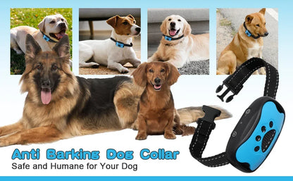 Dog wearing HushTail bark control device showing comfortable fit and design