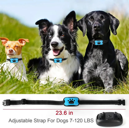 Dog wearing HushTail bark control device showing comfortable fit and design