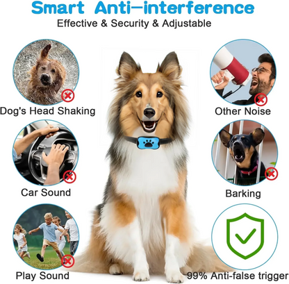 Dog wearing a smart anti-interference collar with various scenarios shown on a white background.